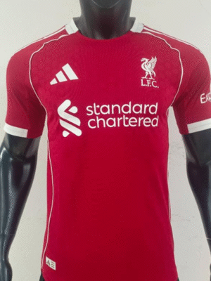 camiseta manchester city local 25/26 tipo player 1.1 (copia)