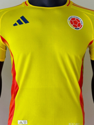 camiseta selección colombia centenario tipo player 1.1 (copia)